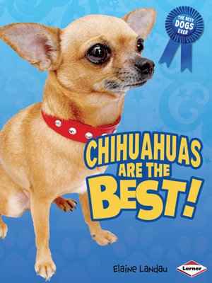 cover image of Chihuahuas Are the Best!